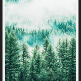 Cuadro Forest and Fog