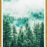 Cuadro Forest and Fog