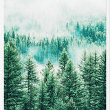 Cuadro Forest and Fog