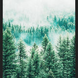 Cuadro Forest and Fog