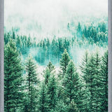 Cuadro Forest and Fog