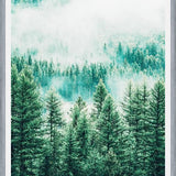 Cuadro Forest and Fog