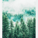 Cuadro Forest and Fog