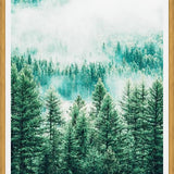 Cuadro Forest and Fog