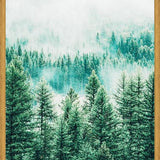 Cuadro Forest and Fog