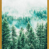 Cuadro Forest and Fog