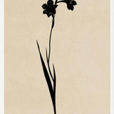 Cuadro MINIMAL FLOWRES