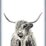 Cuadro Highland cow watercolor