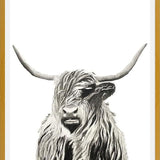 Cuadro Highland cow watercolor