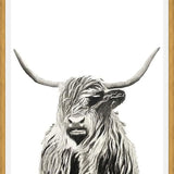 Cuadro Highland cow watercolor