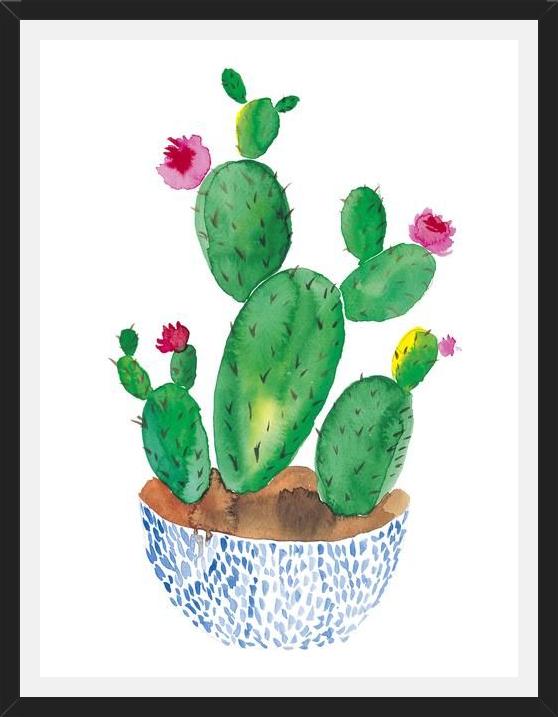 Cuadro Cactus en flor