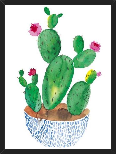 Cuadro Cactus en flor