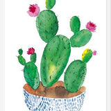 Cuadro Cactus en flor