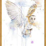 Cuadro Lechuza Blanca