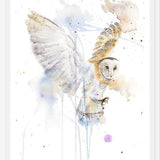 Cuadro Lechuza Blanca