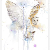 Cuadro Lechuza Blanca