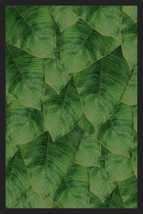 Cuadro Banana Leaf III