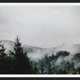 Cuadro Foggy Wilderness