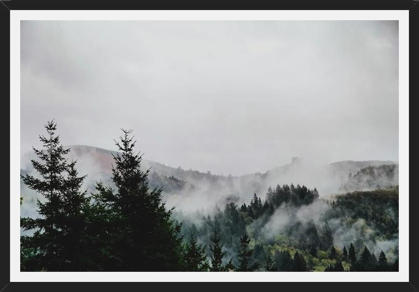 Cuadro Foggy Wilderness