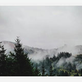Cuadro Foggy Wilderness