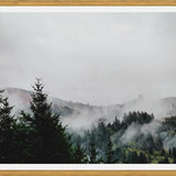 Cuadro Foggy Wilderness