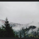 Cuadro Foggy Wilderness