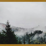 Cuadro Foggy Wilderness