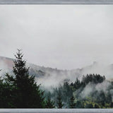 Cuadro Foggy Wilderness