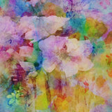 Canvas Spring Equinox 2