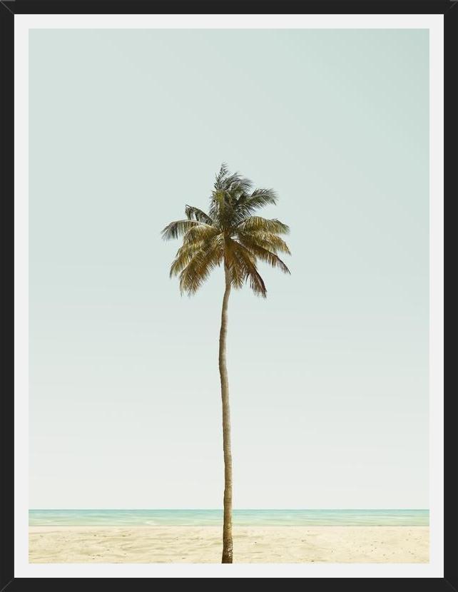 Cuadro La palmera sola