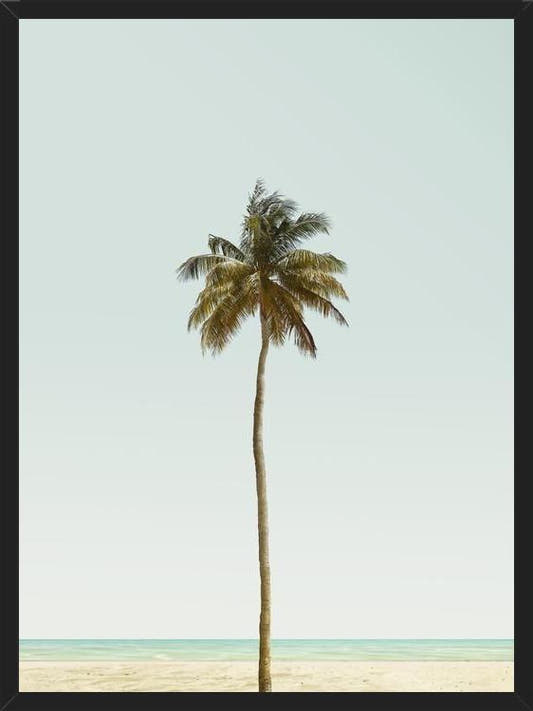 Cuadro La palmera sola