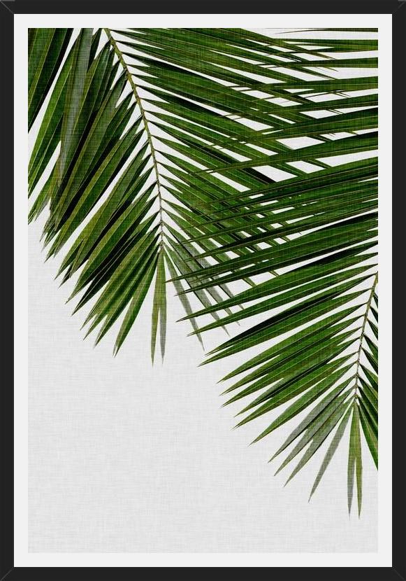 Cuadro Palm Leaf II