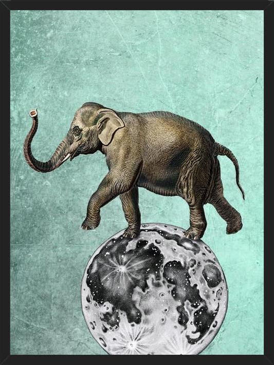 Cuadro Moon Circle