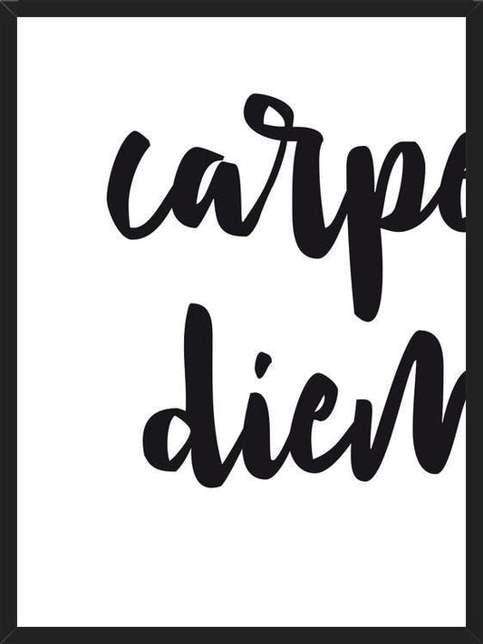 Cuadro Carpe diem quote