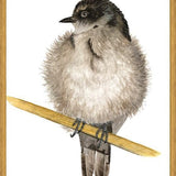 Cuadro Golondrina bebé