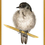 Cuadro Golondrina bebé