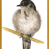 Cuadro Golondrina bebé