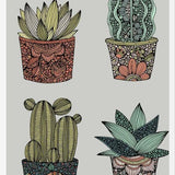 Cuadro Little cactus