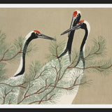 Cuadro Chinese Birds