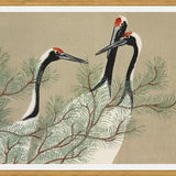 Cuadro Chinese Birds
