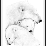 Cuadro Familia Osos Polares