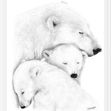 Cuadro Familia Osos Polares