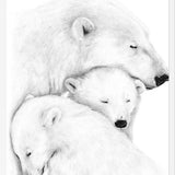 Cuadro Familia Osos Polares