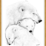 Cuadro Familia Osos Polares
