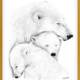 Cuadro Familia Osos Polares