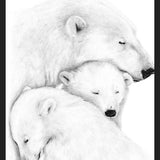 Cuadro Familia Osos Polares