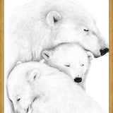Cuadro Familia Osos Polares