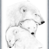 Cuadro Familia Osos Polares