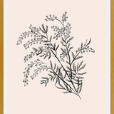Cuadro Acacia Branch Drawing