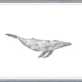 Cuadro Ballena Jorobada Chilena 1